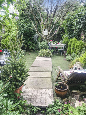 Photo 15- click for photo gallery